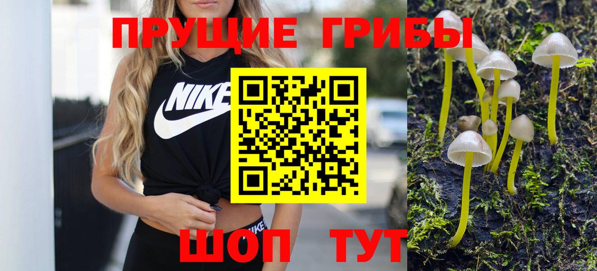 Псилоцибиновые грибы мицелий  Вход с VPN  где купить   Псилоцибиновые грибы MAGIC MUSHROOMS  Моздок 