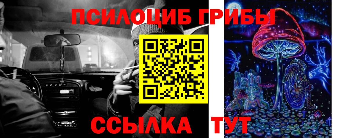 Галлюциногенные грибы GOLDEN TEACHER Моздок